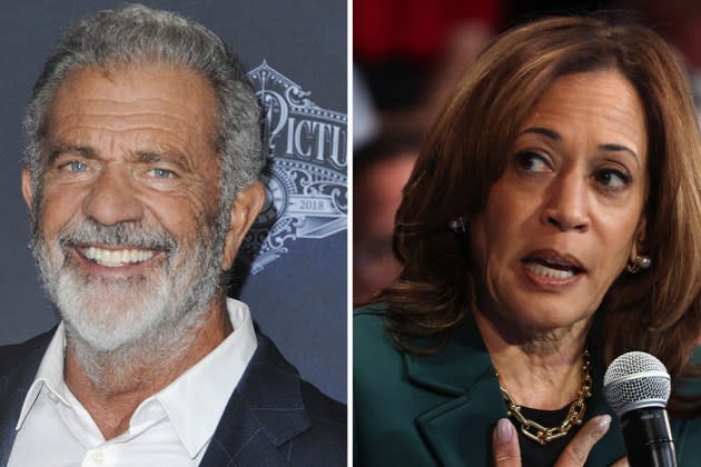 Mel Gibson Calls Kamala Harris "IQ of a Fence Post", Endorses Trump