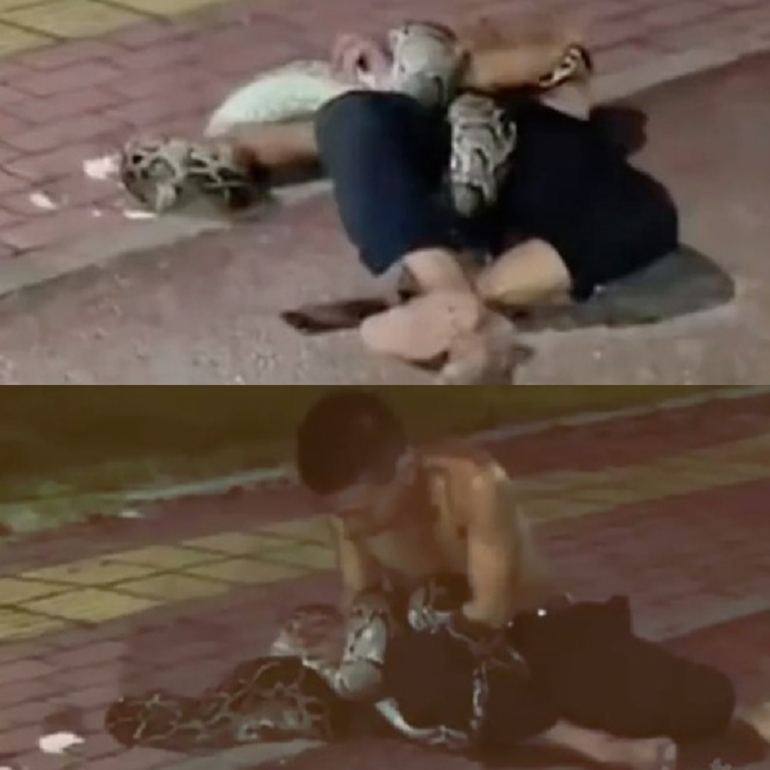 Dr@nk Man Battles Python After Night Out