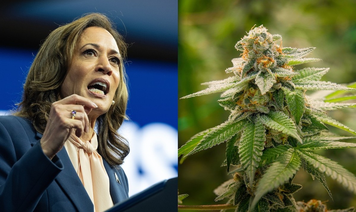 Kamala Harris Promises Full Marijuana Legalization – A Gamechanger? 2 Kamala Harris Promises Full Marijuana Legalization – A Gamechanger?
