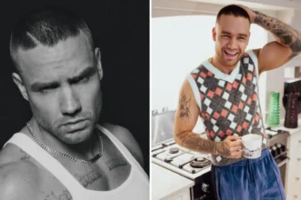 Liam Payne's Net Worth 2024 at the Time of Passing