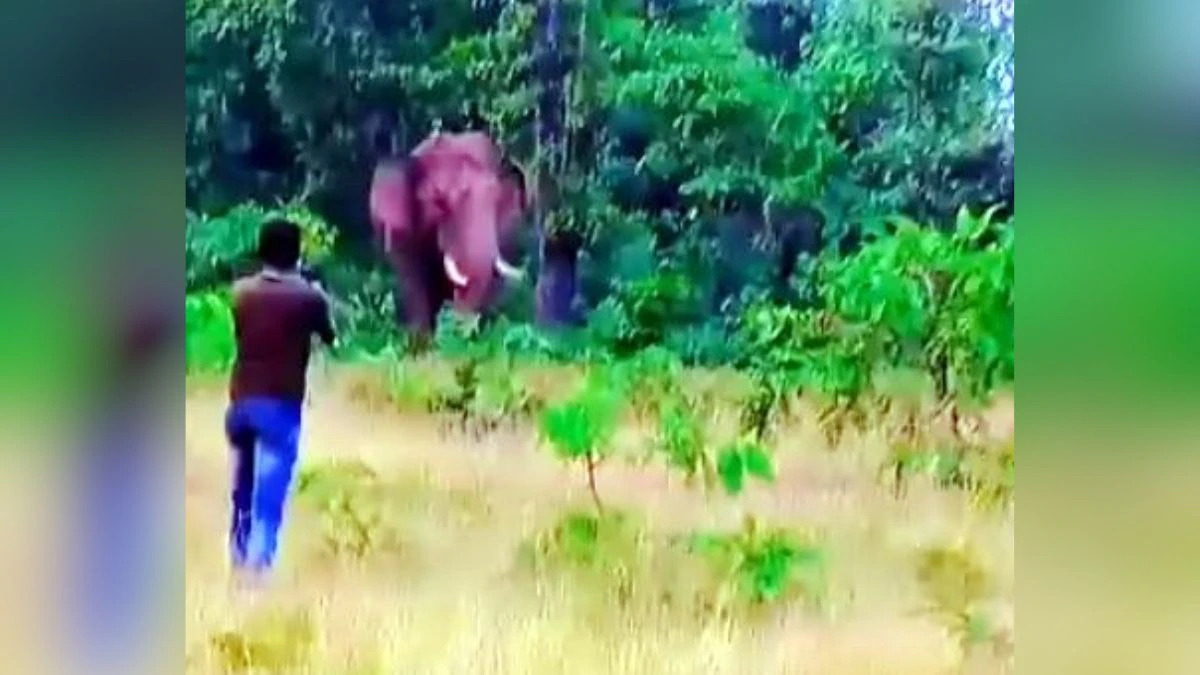 Selfie Gone Wrong: Young Man Trampled by Elephant in India