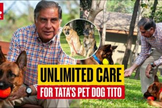 Indian Billionaire, Ratan Tata Leaves £91 Million to His Dog