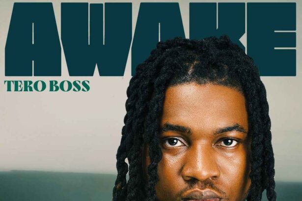 Tero Boss - Awake mp3 download