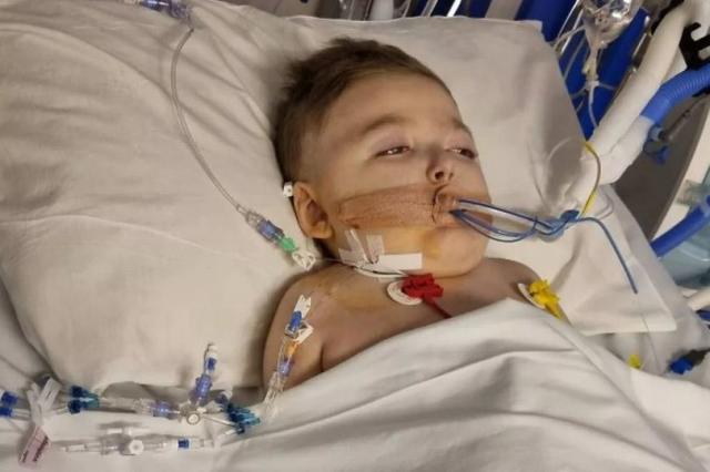 9-Year-Old Boy Dies After Father's Violent Attack Left Him Disabled and Blind