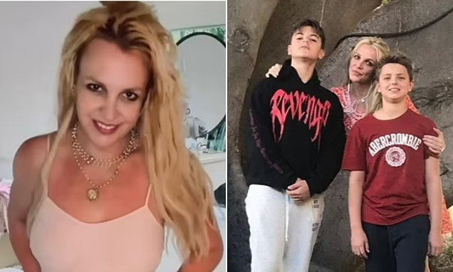 Britney Spears Reunites with Son Jayden, 18, in Los Angeles After This!