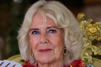 Queen Camilla Cancels Engagements Due to Chest Infection