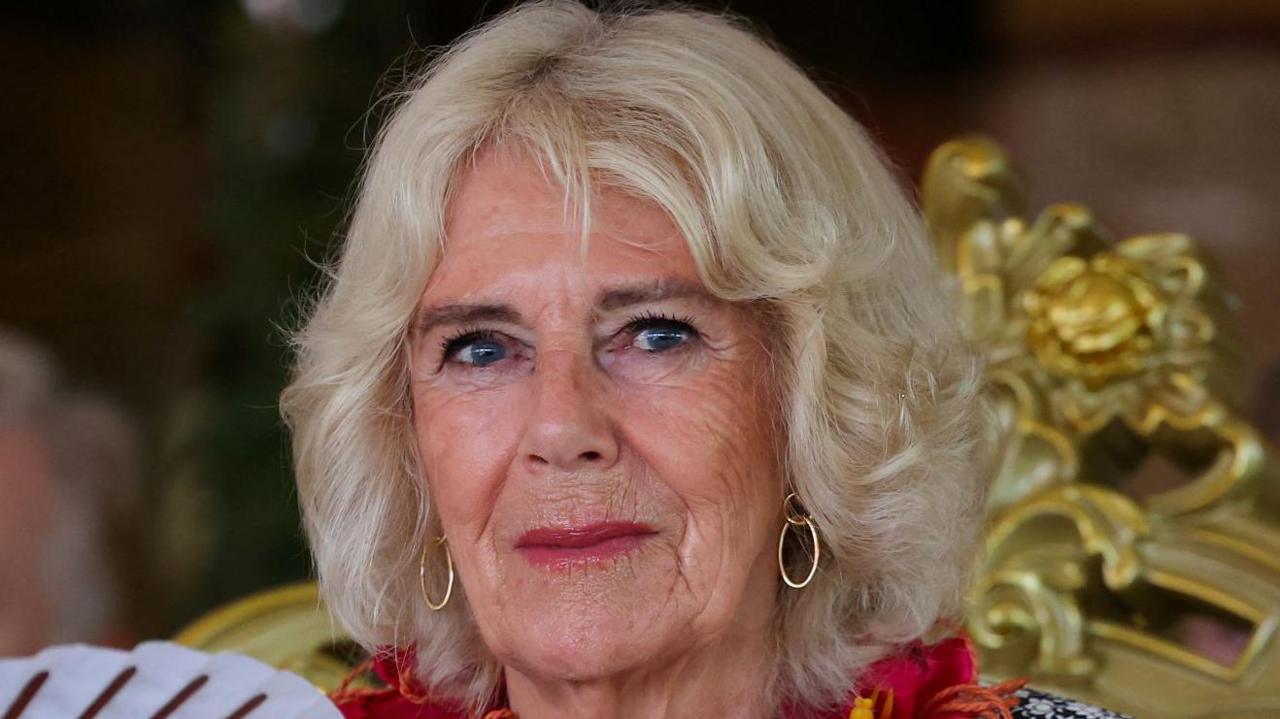 Queen Camilla Cancels Engagements Due to Chest Infection