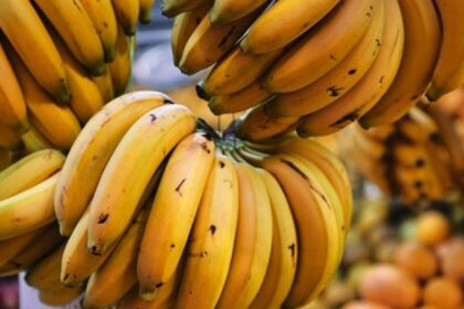Minister's staff insist on banana-free rooms due to 'weirdest phobia'