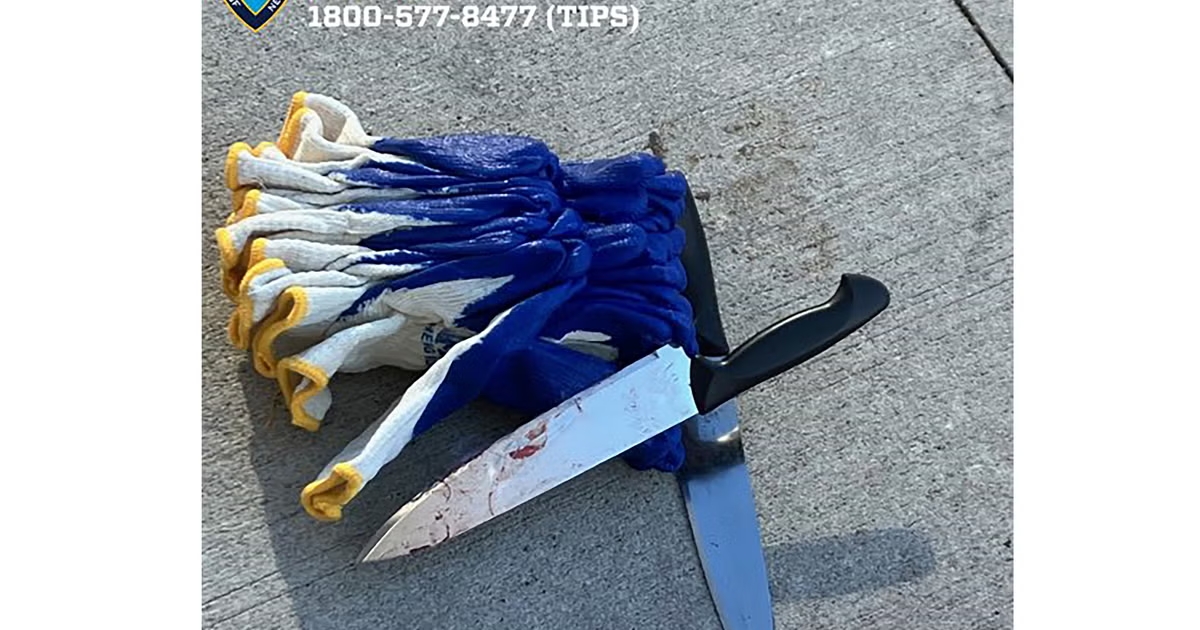 Man Arrested for Stabbing Two to Death in NYC; Had 8 Prior Arrests 3 Man Arrested for Stabbing Two to Death in NYC; Had 8 Prior Arrests