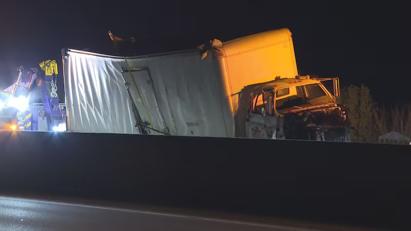 Box Truck Crashes Into RV Carrying 28 Snakes, Including Venomous Viper