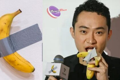 "It’s much better than other bananas" Crypto boss says after eating banana art he bought for $6.2m
