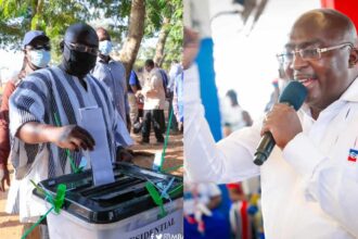 Elections 2024: NPP Are Likely to Win These Constituencies