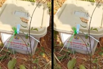 Farmer Discovers Stuffed Ballot Boxes on His Farm in Ashanti Region
