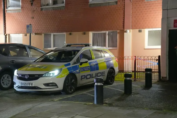 Man Dies After Attack by Fighting Dog in London; Woman Charged 2 Man Dies After Attack by Fighting Dog in London; Woman Charged