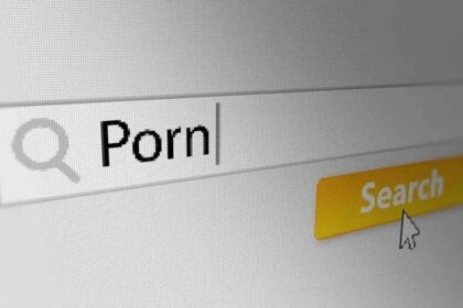 countries that watch porn in the world by ranking all top countries pornography