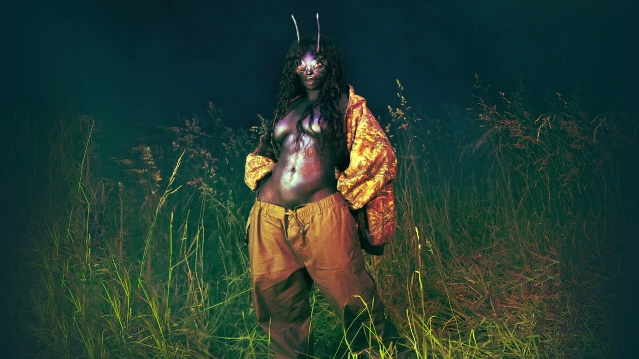 SZA - No More Hiding Lyrics and song review