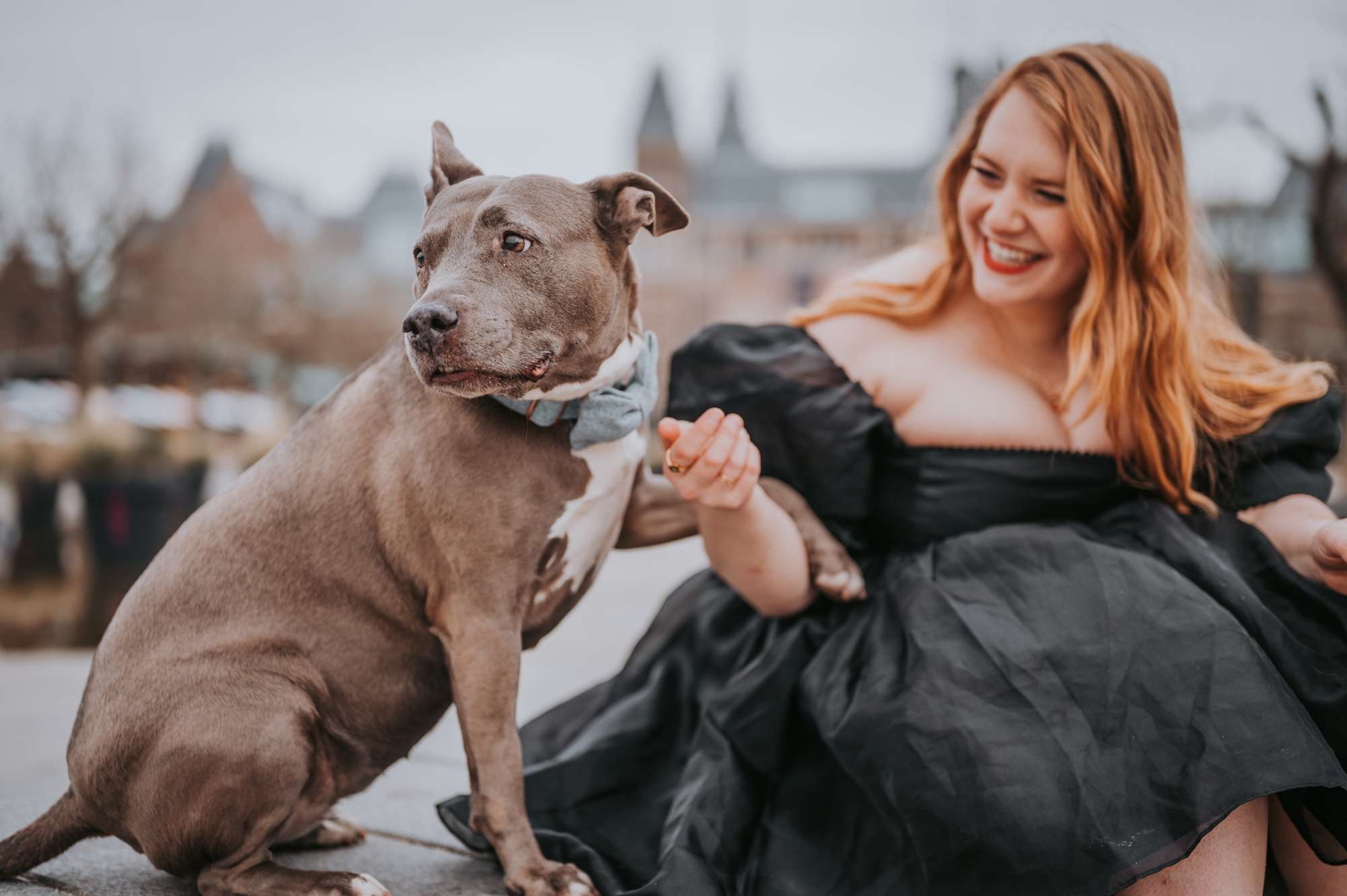 Woman’s Love for Her Dying Dog Offers $50,000 to Adopt Another