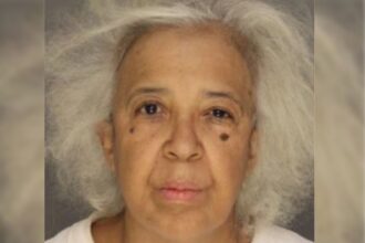 64-Year-Old Woman Arrested for Alleged Sexual Assault of Teens After Shoveling Snow
