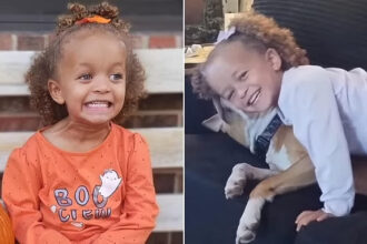 3-Year-Old Girl Dies After Dog Attack in Cincinnati Days After Christmas