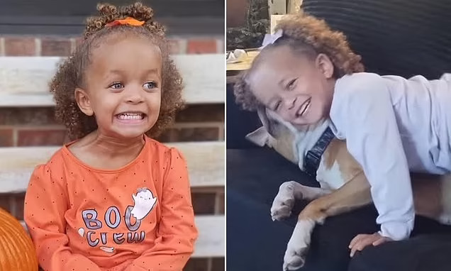 3-Year-Old Girl Dies After Dog Attack in Cincinnati Days After Christmas
