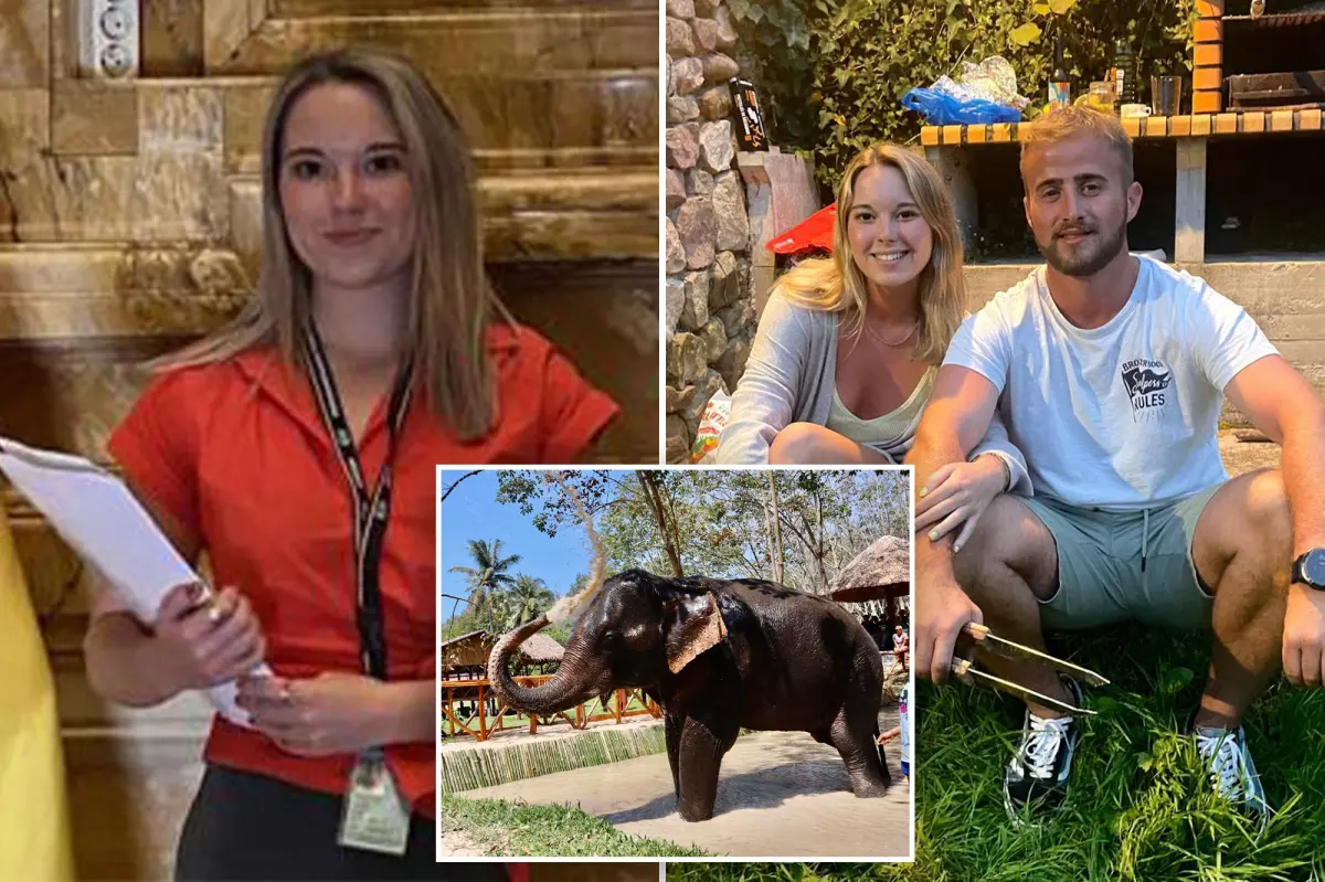 Tourist Killed by Elephant in Front of Boyfriend at Thai Sanctuary