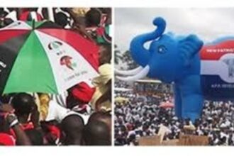 NPP Forms 11-Member Committee to Investigate 2024 Election Loss
