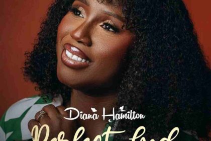 download diana Hamilton perfect god mp3