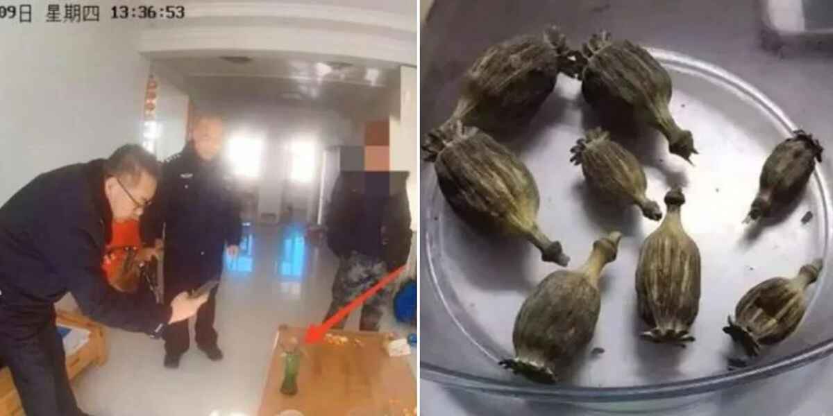 Boy Scolded for Not Doing Homework Reports His Father for Drug Use