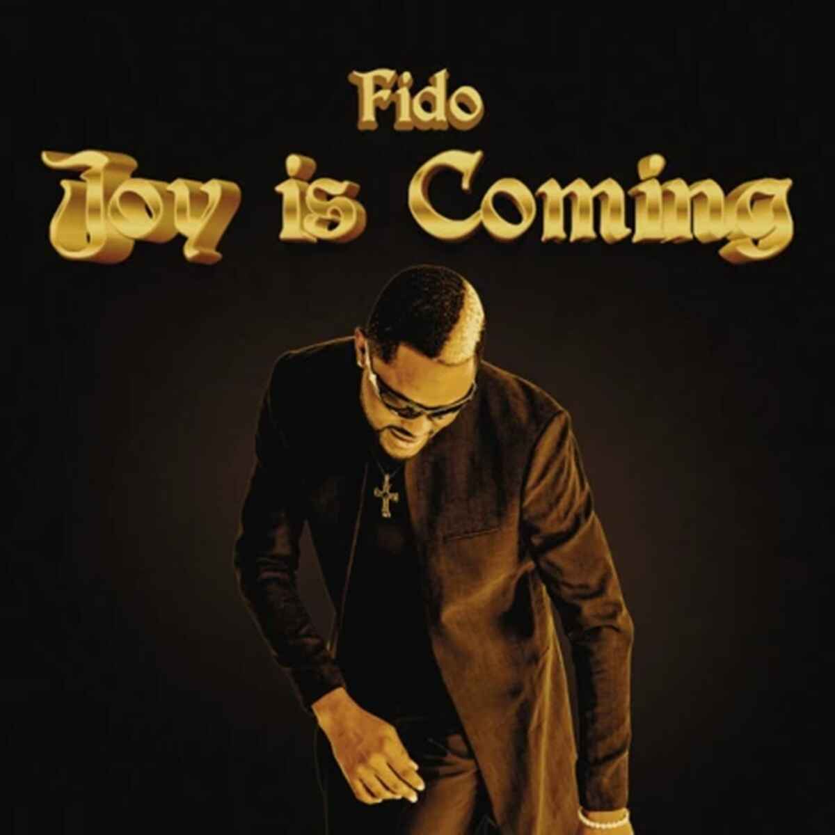 Fido - Joy Is Coming mp3 download and Lyrics