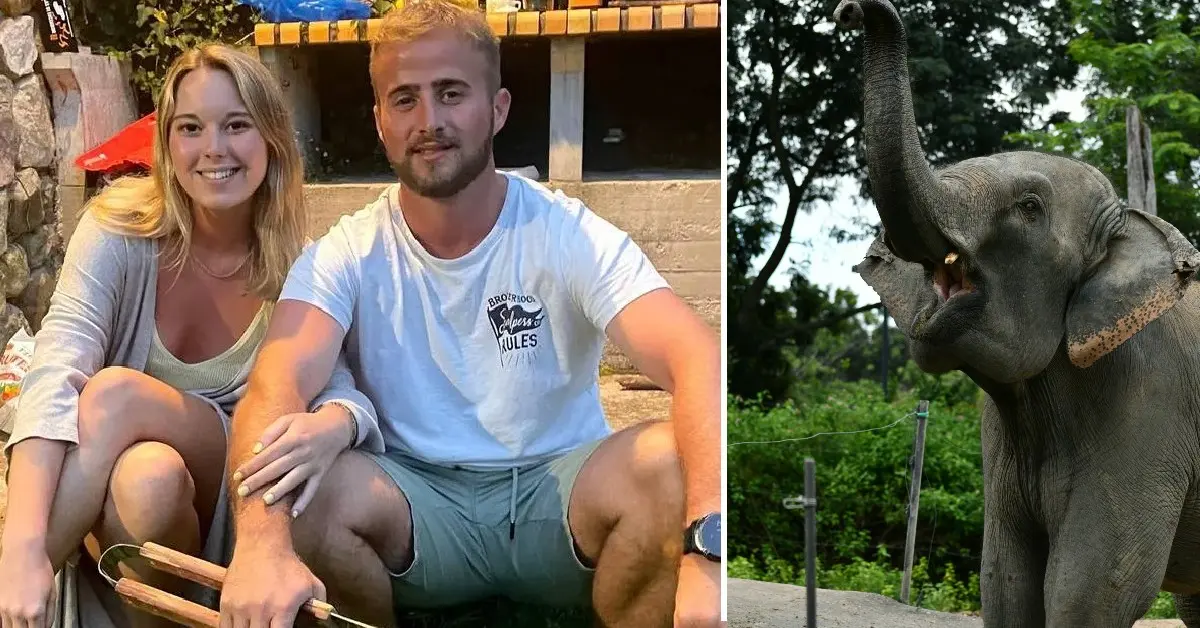 Tourist Killed by Elephant in Front of Boyfriend at Thai Sanctuary 2 Tourist Killed by Elephant in Front of Boyfriend at Thai Sanctuary