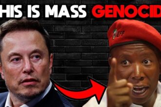 Julius Malema Calls Elon Musk a 'Racist Spoiled Brat' After This (See Details)