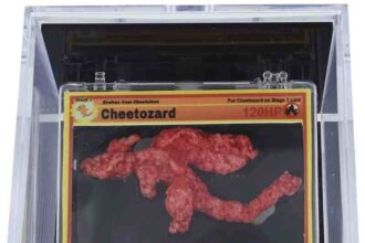 Rare Charizard-Shaped Cheeto Sells for $87,840 in Online Auction