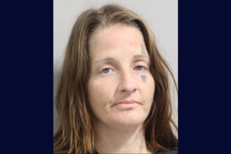 Florida Woman Arrested for Committing Same Crimes While Out on Bond