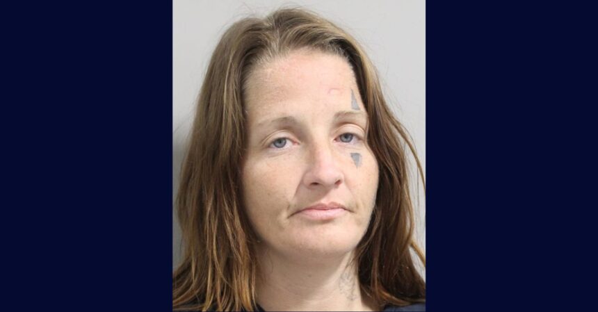 Florida Woman Arrested for Committing Same Crimes While Out on Bond