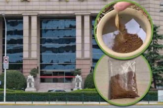 China online shops sell ‘bank soil’ from top institutions for US$120, claims it brings wealth