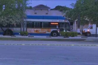 Fla. Bus Driver Fatally Shoots 2 Passengers During Argument, latest crime nows on townflex