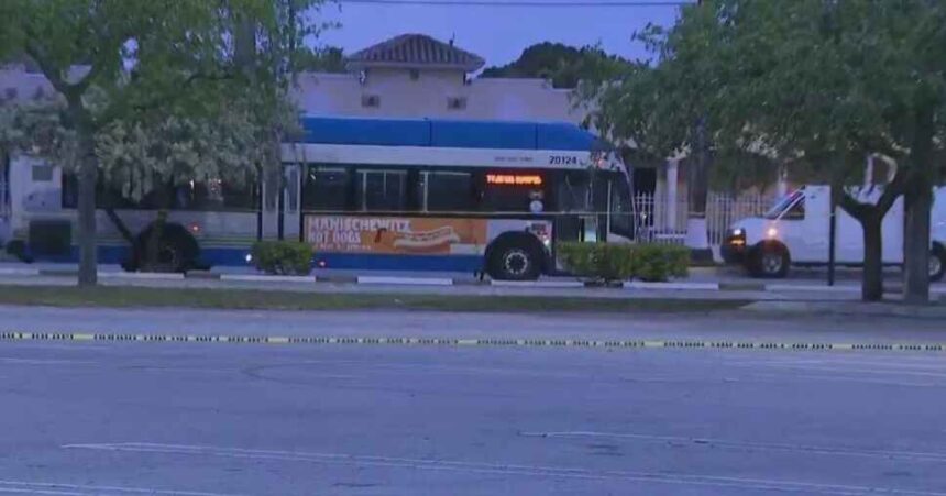 Fla. Bus Driver Fatally Shoots 2 Passengers During Argument, latest crime nows on townflex
