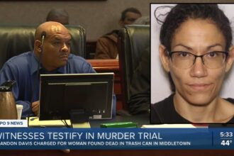 Ohio Man Sentenced to Life for Murdering Woman He Called ‘Sister’ on TownFlex