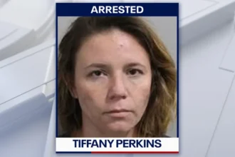 Arrested: Florida Woman Accused of Using Great Dane to Attack Investigators After Power Theft