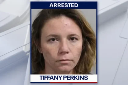 Arrested: Florida Woman Accused of Using Great Dane to Attack Investigators After Power Theft