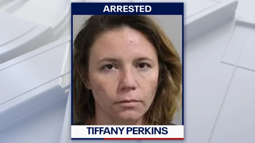 Arrested: Florida Woman Accused of Using Great Dane to Attack Investigators After Power Theft 1 Arrested: Florida Woman Accused of Using Great Dane to Attack Investigators After Power Theft