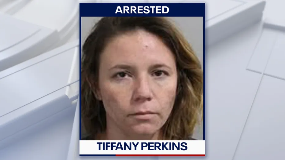 Arrested: Florida Woman Accused of Using Great Dane to Attack Investigators After Power Theft