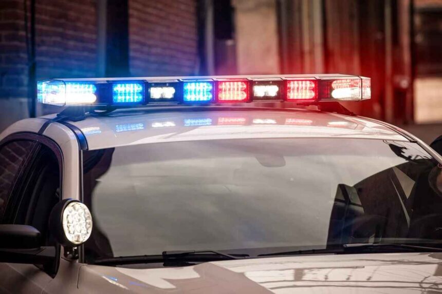 Detroit Woman Arrested for Stabbing Dog and Posting Footage to Social Media 1 Detroit Woman Arrested for Stabbing Dog and Posting Footage to Social Media