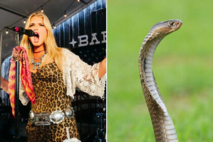 Jessica Simpson Reveals She Drinks Snake Sperm