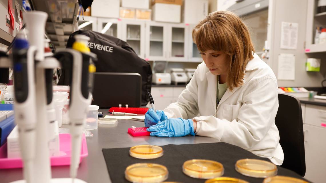 NIH Scientists Barred from Attending Conferences—Even on Their Own Time