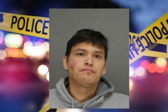 Wisconsin Man Faces Felony Charges After Fatal Stabbing of Addiction Sponsor and Dog