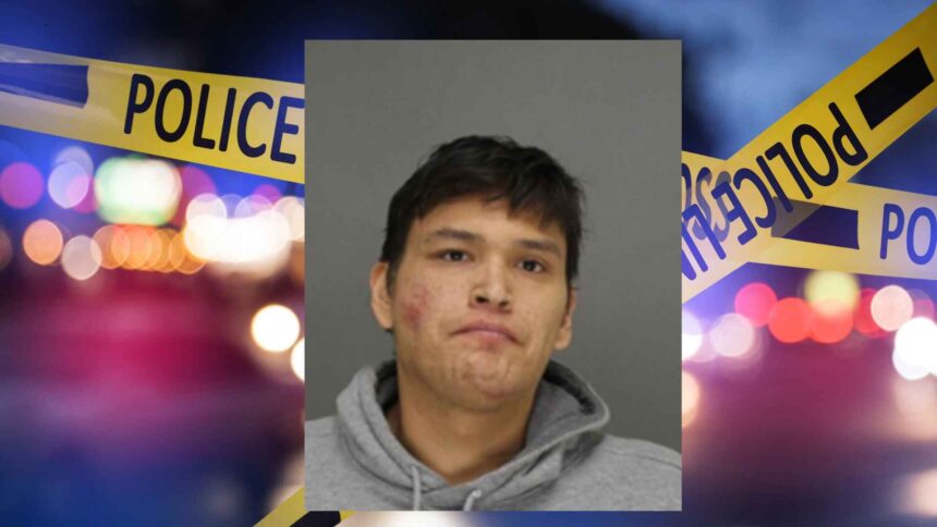 Wisconsin Man Faces Felony Charges After Fatal Stabbing of Addiction Sponsor and Dog