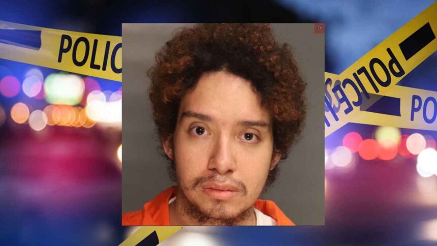 Pennsylvania Man Murders Grandmother, Sets Body on Fire Over Cat’s ‘Harmful’ Flea Medication