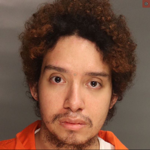 Pennsylvania Man Murders Grandmother, Sets Body on Fire Over Cat’s ‘Harmful’ Flea Medication 2 Pennsylvania Man Murders Grandmother, Sets Body on Fire Over Cat’s ‘Harmful’ Flea Medication