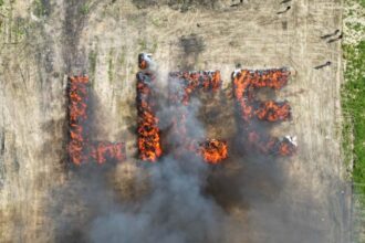 Turkish Town Involuntarily Gets High After Police Burn Over 20 Tons of Confiscated Weed